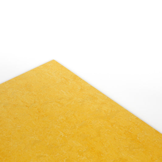 マーモリウム タイル【カラー】 床用リノリウム 50×50cm フォルボ(Forbo)