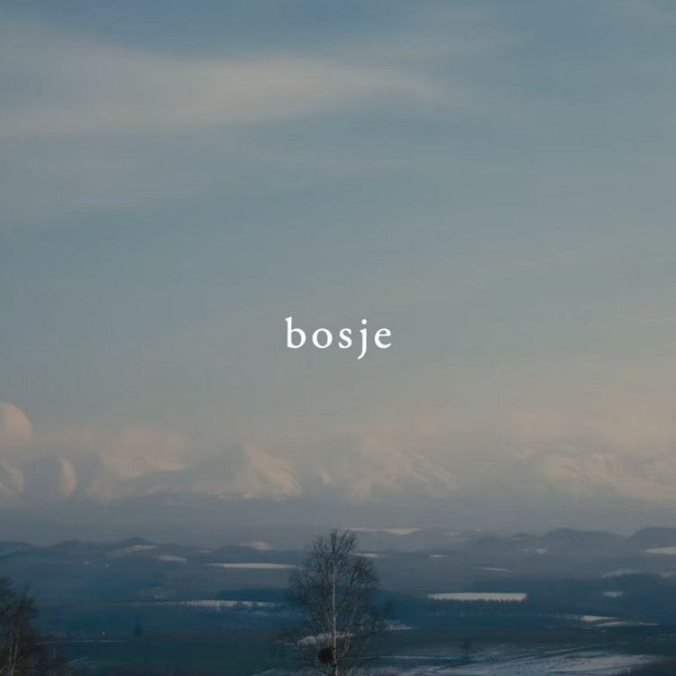 bosje