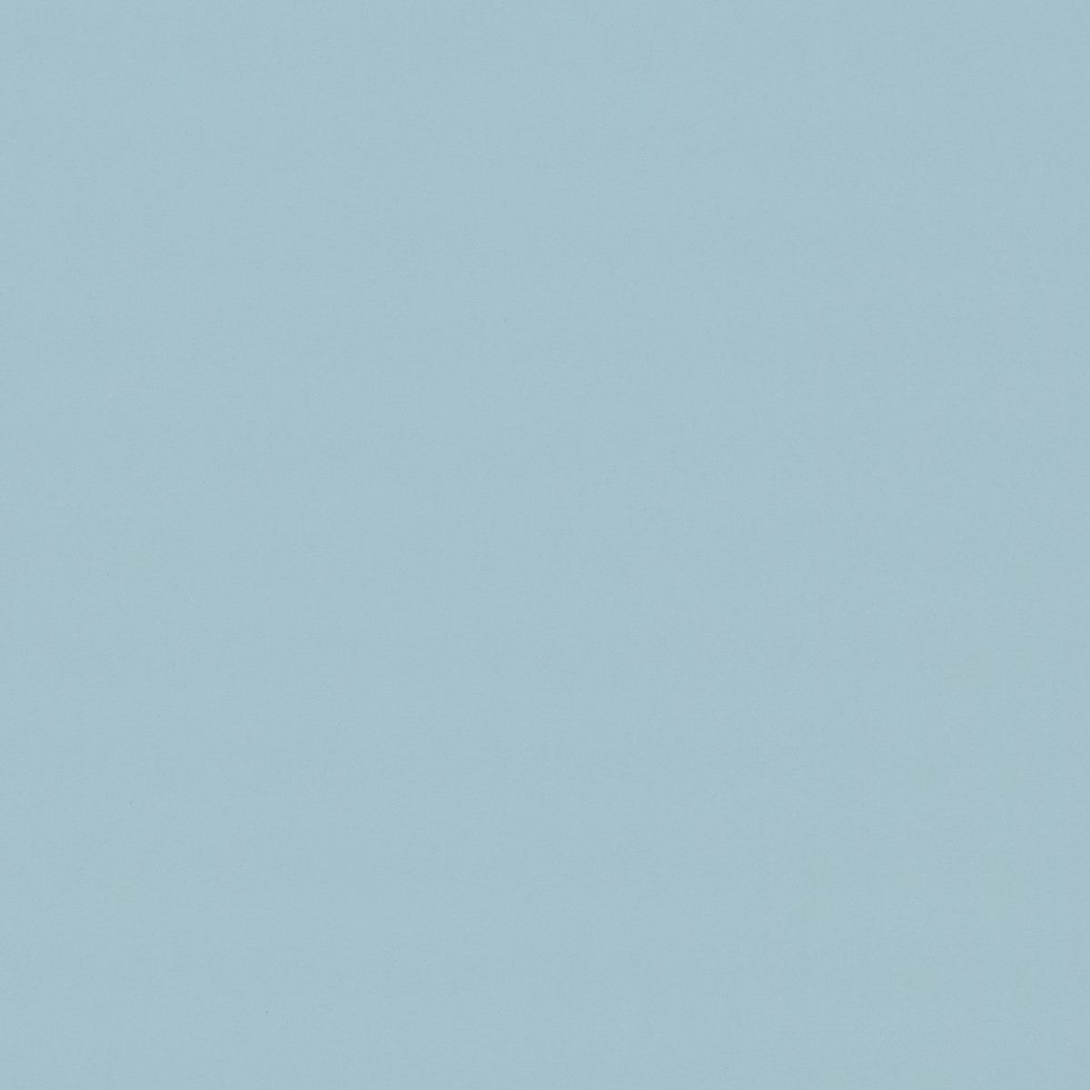 ファニチャーリノリウム スラブ 110×183cm　家具仕上げ用リノリウム フォルボ(Forbo)