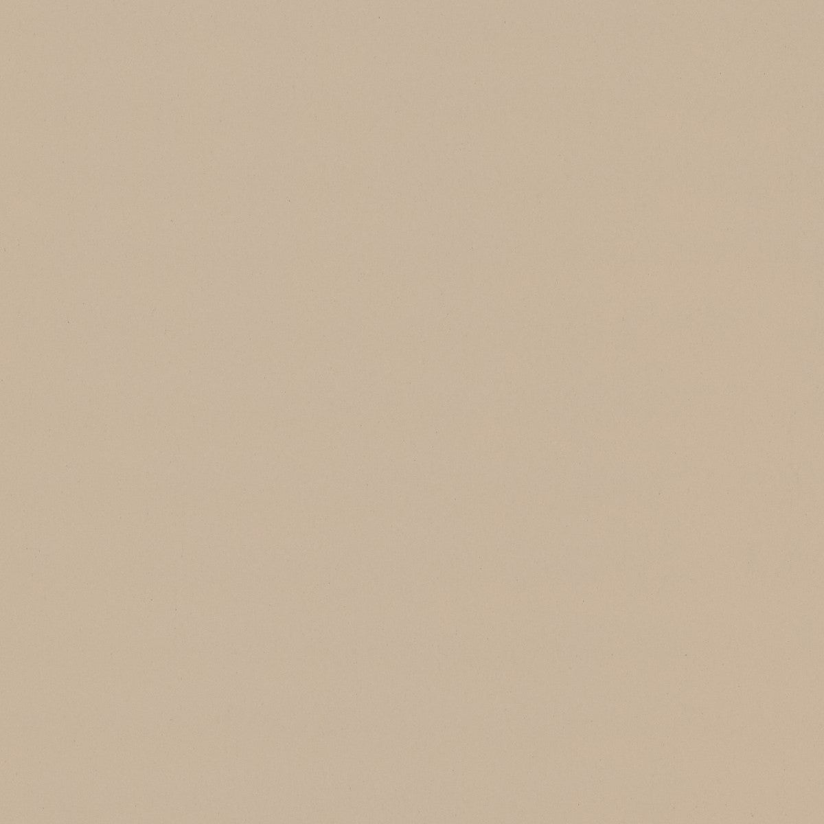 ファニチャーリノリウム スラブ 110×183cm　家具仕上げ用リノリウム フォルボ(Forbo)