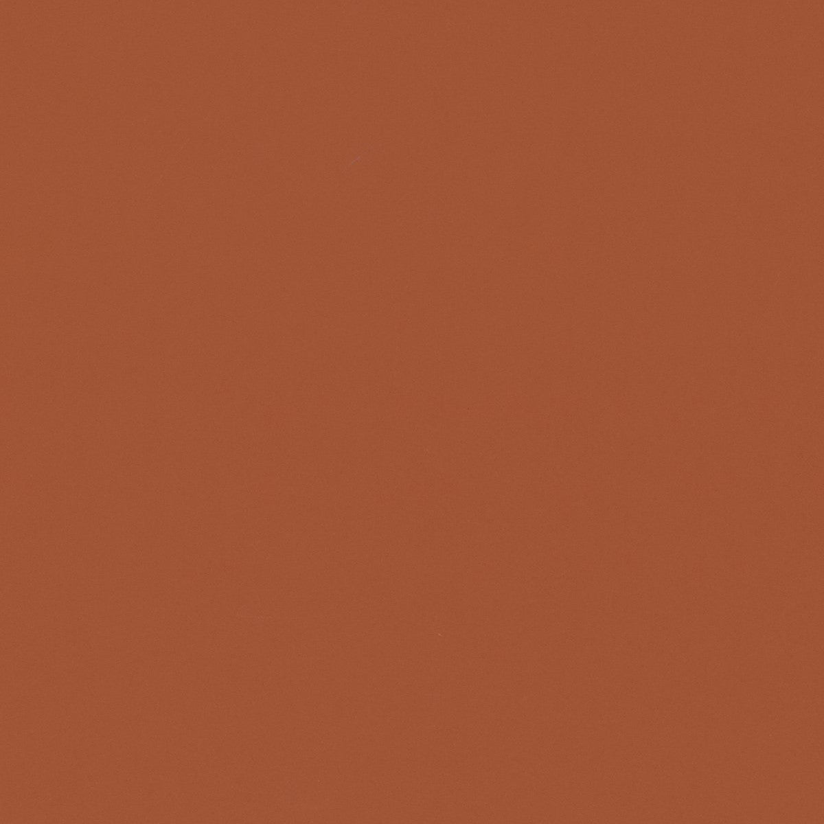 ファニチャーリノリウム スラブ 110×183cm　家具仕上げ用リノリウム フォルボ(Forbo)