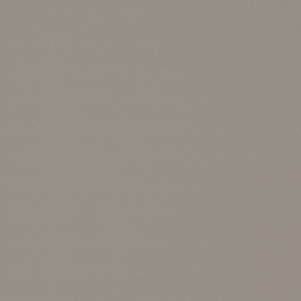 ファニチャーリノリウム スラブ 110×183cm　家具仕上げ用リノリウム フォルボ(Forbo)