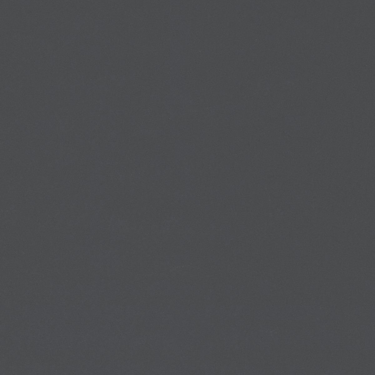 ファニチャーリノリウム スラブ 110×183cm　家具仕上げ用リノリウム フォルボ(Forbo)