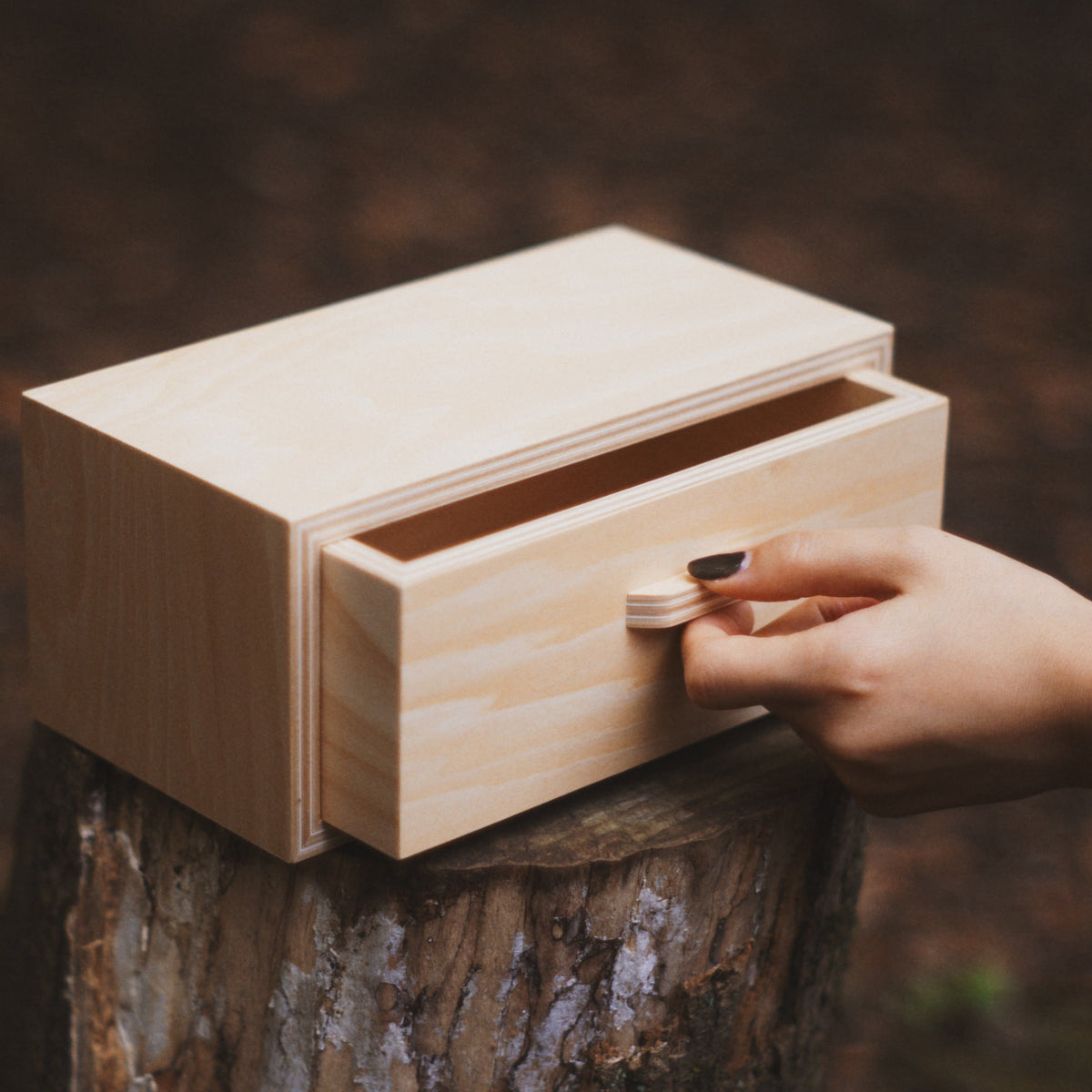 drawer box -large-