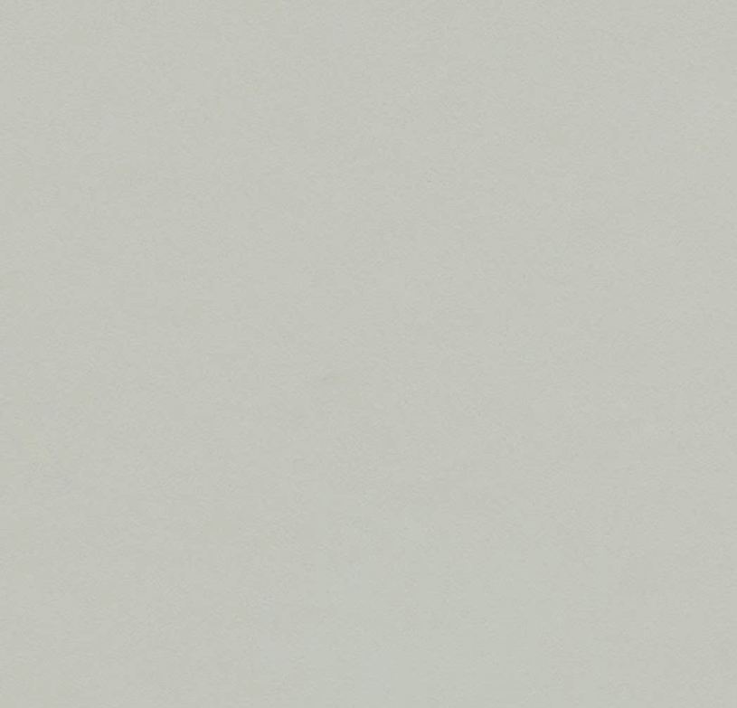 ファニチャーリノリウム スラブ 110×183cm　家具仕上げ用リノリウム フォルボ(Forbo)